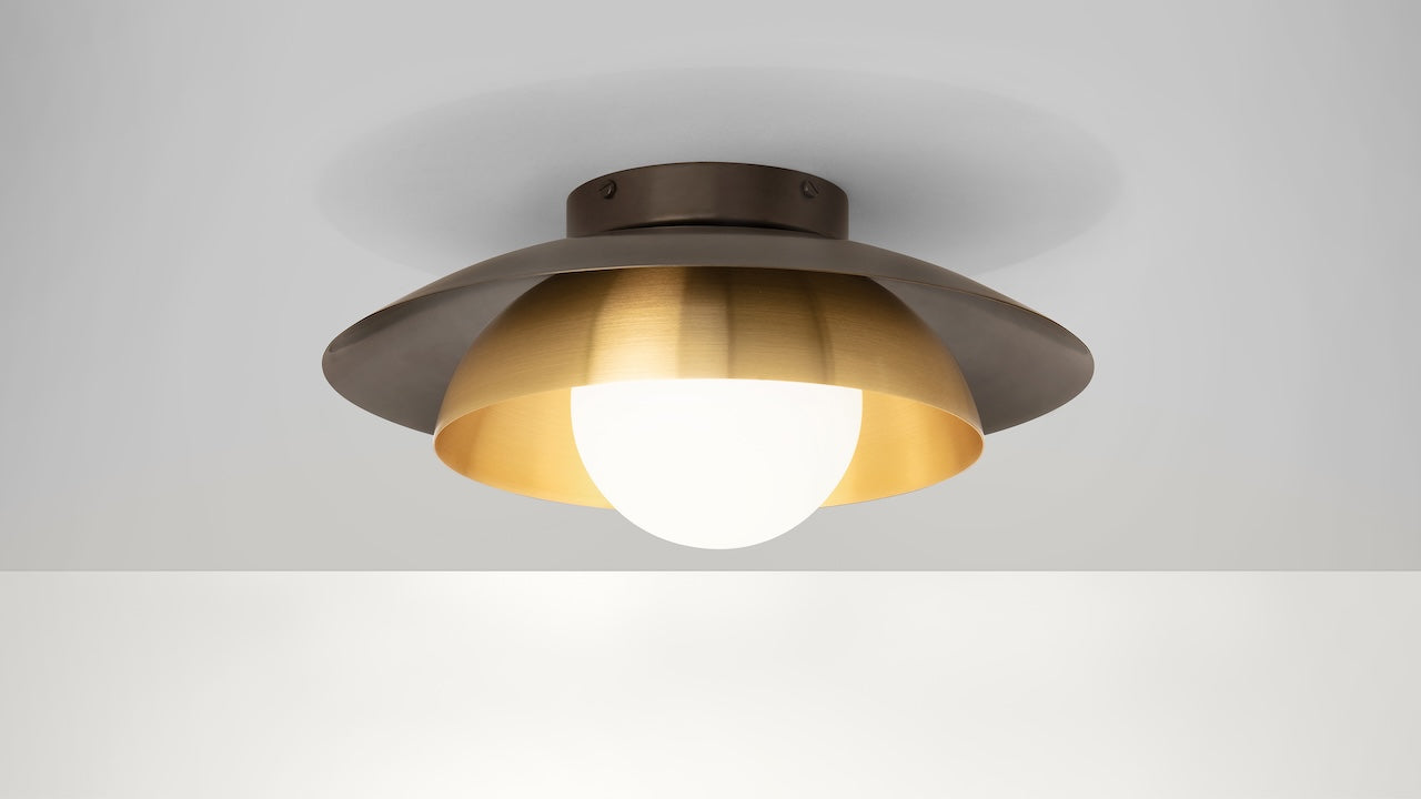 Carapace Ceiling/Wall Light
