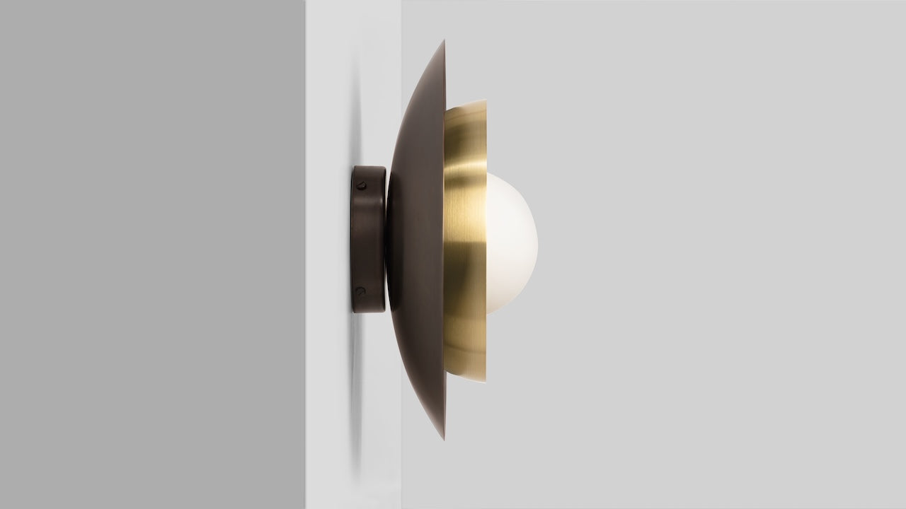 Carapace Ceiling/Wall Light