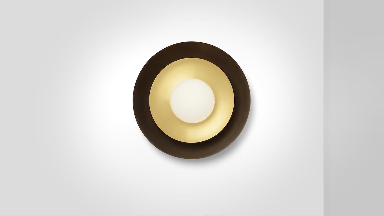 Carapace Ceiling/Wall Light